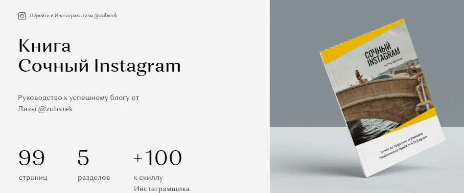 [Лиза @zubarek] Книга «Сочный Instagram» (2022)