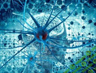 [Архэ] Введение в когнитивную нейронауку. Лекция 5. Процессы памяти в мозге (2025)