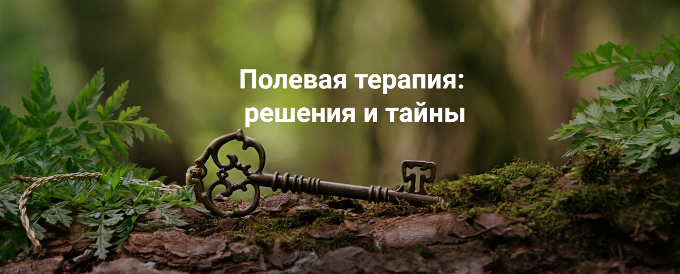 [Елена Веселаго] [Институт Открытого поля] Полевая терапия: решения и тайны (2025)